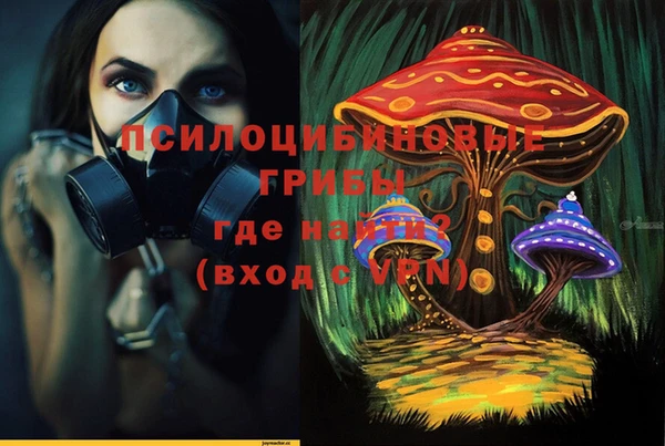 mdpv Володарск