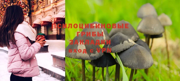 mdpv Володарск